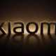 Очередной миллионник Xiaomi. Компания продала бизнес-партнёрам более 1 млн настраиваемых терминалов