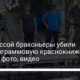 Под Одессой браконьеры убили 125-килограммовую краснокнижную белугу – фото, видео